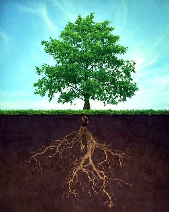 树人树心,共植成功人生